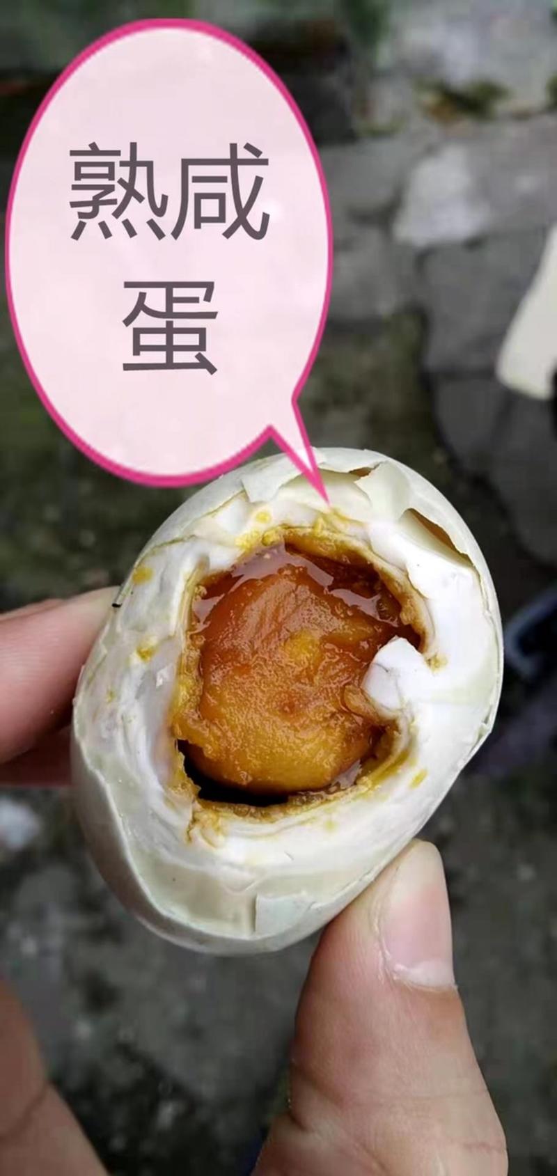 【推荐】烤海鸭蛋支持一件代发广西海鸭蛋咸鸭蛋