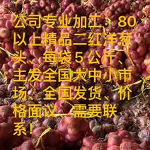 【热销】山东精品二红洋葱，5公斤装，质优价廉、全国发货！
