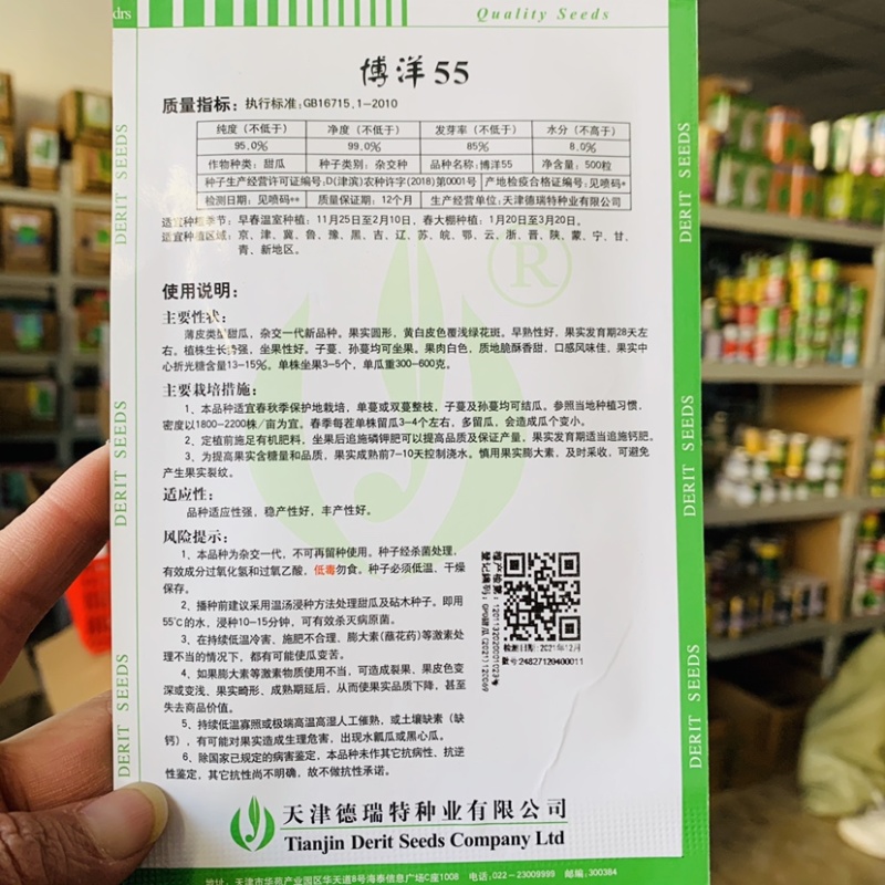 黄皮甜瓜种子博洋55甜瓜种子早熟圆形甜瓜种籽露地保护地