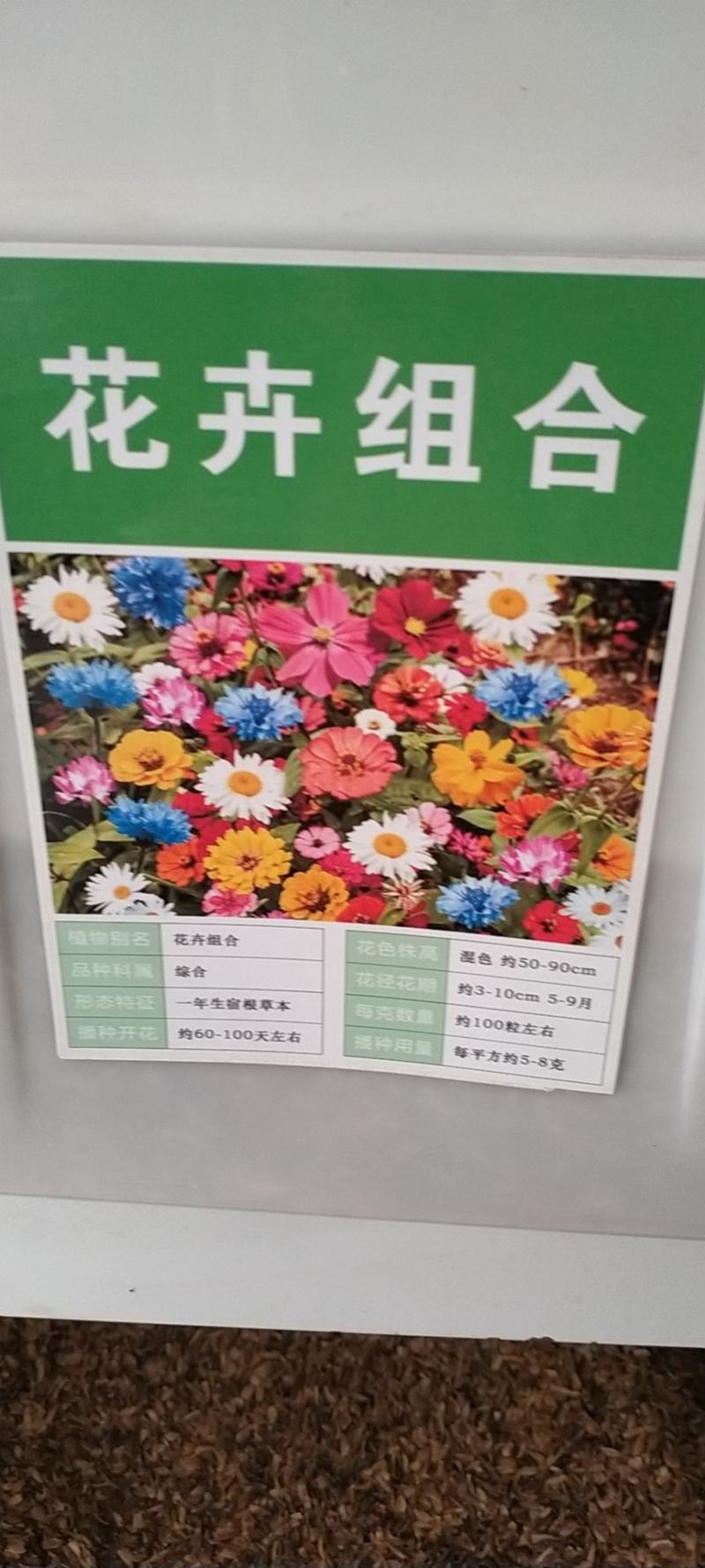 耐寒花种多年生野花组合种子四季开花不断花籽庭院易种活室外