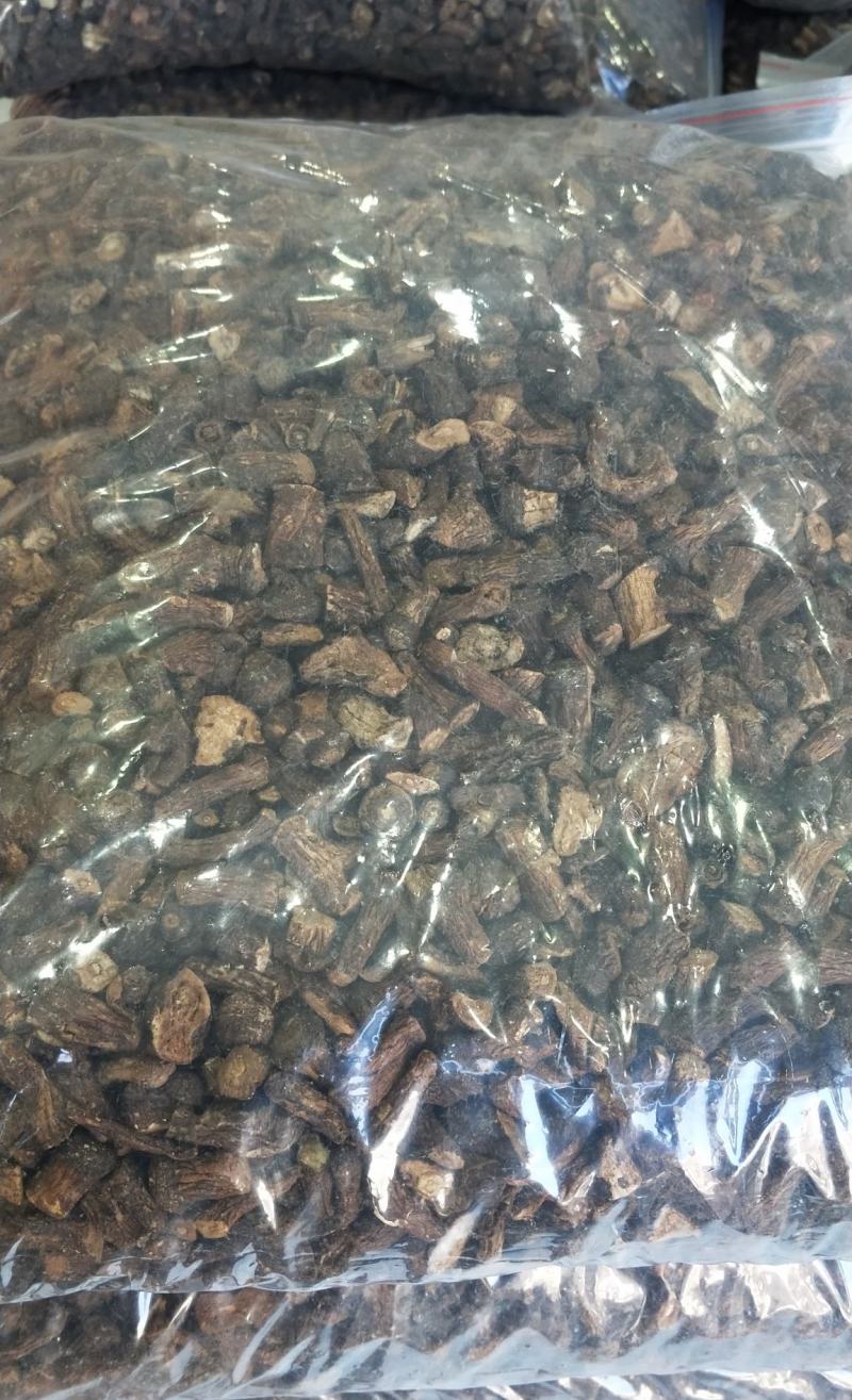 大量批发东北纯野生特大粒蒲公英根量大从优欢迎选购