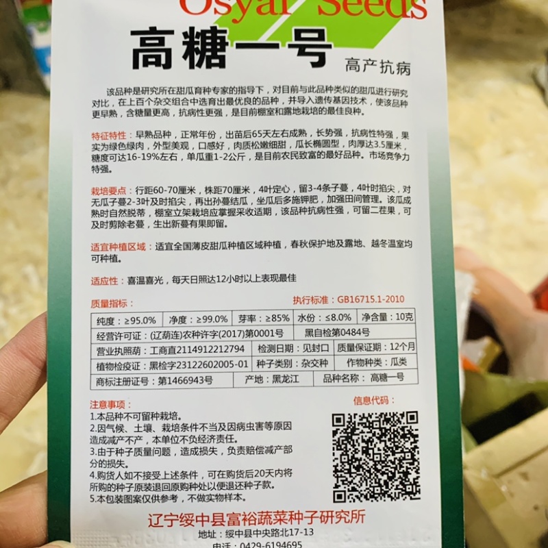 奥甜高糖一号甜瓜种子早熟绿皮绿肉甜瓜种籽糖度高薄皮早熟