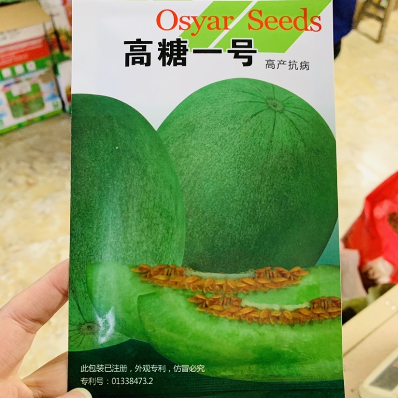 奥甜高糖一号甜瓜种子早熟绿皮绿肉甜瓜种籽糖度高薄皮早熟