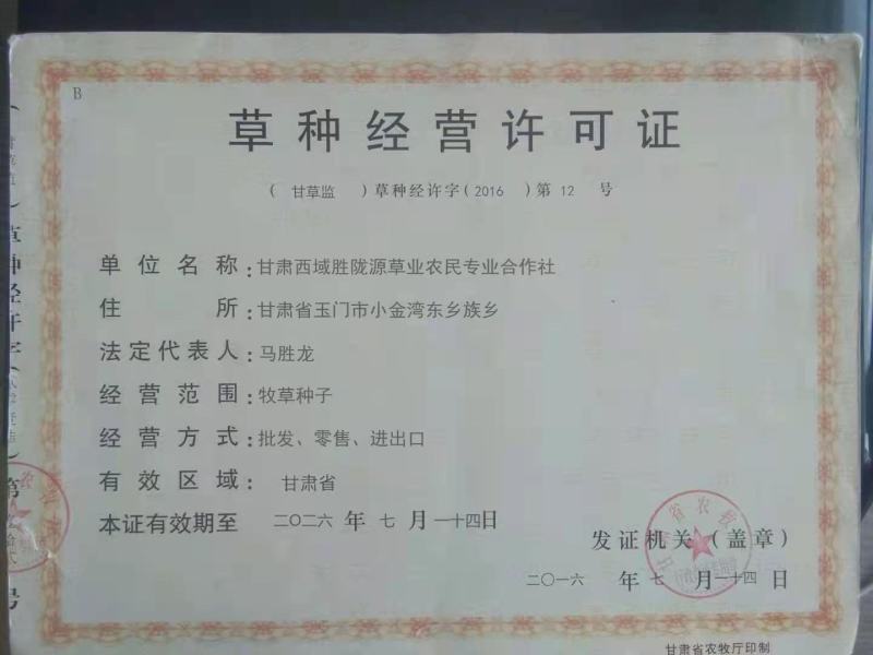 苜蓿种子紫花苜蓿草种子牛羊马兔草种子紫花苜蓿草种子