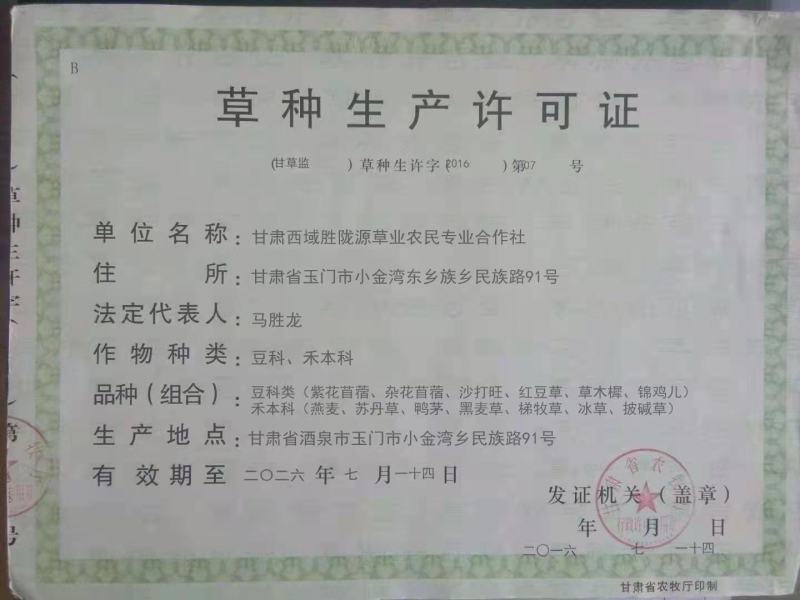苜蓿种子紫花苜蓿草种子牛羊马兔草种子紫花苜蓿草种子