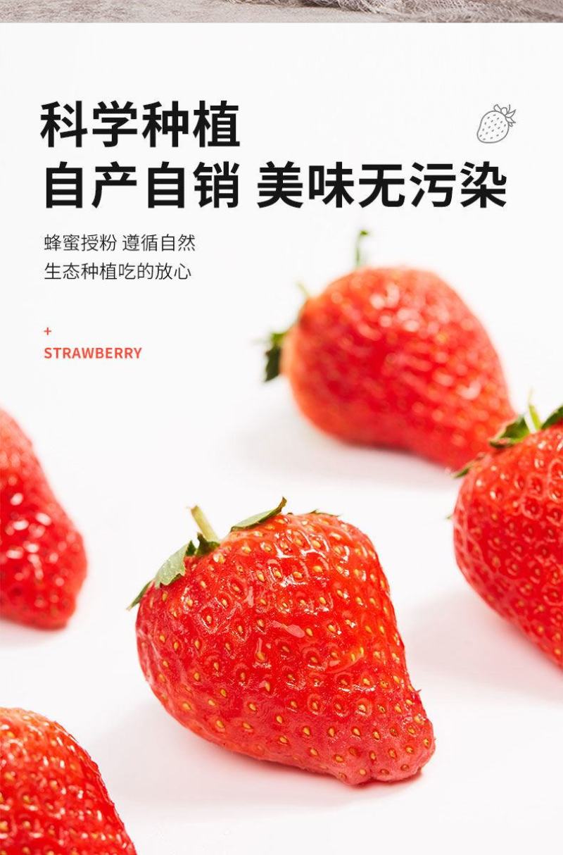 空运包邮抖音同款网红礼盒一件代发，电商平台供货，公司团购