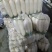 新鲜现拨现洗现卖白萝卜湖北基地直供大量出售白萝卜白萝卜