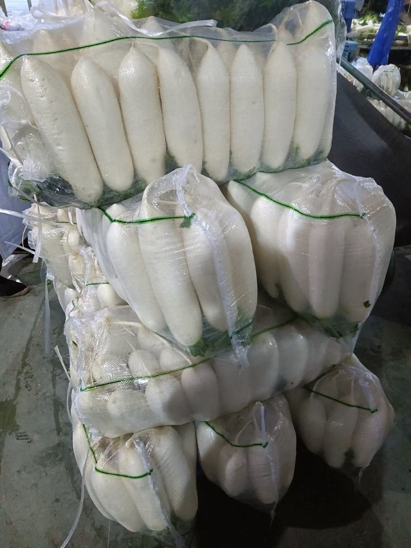 新鲜现拨现洗现卖白萝卜湖北基地直供大量出售白萝卜白萝卜