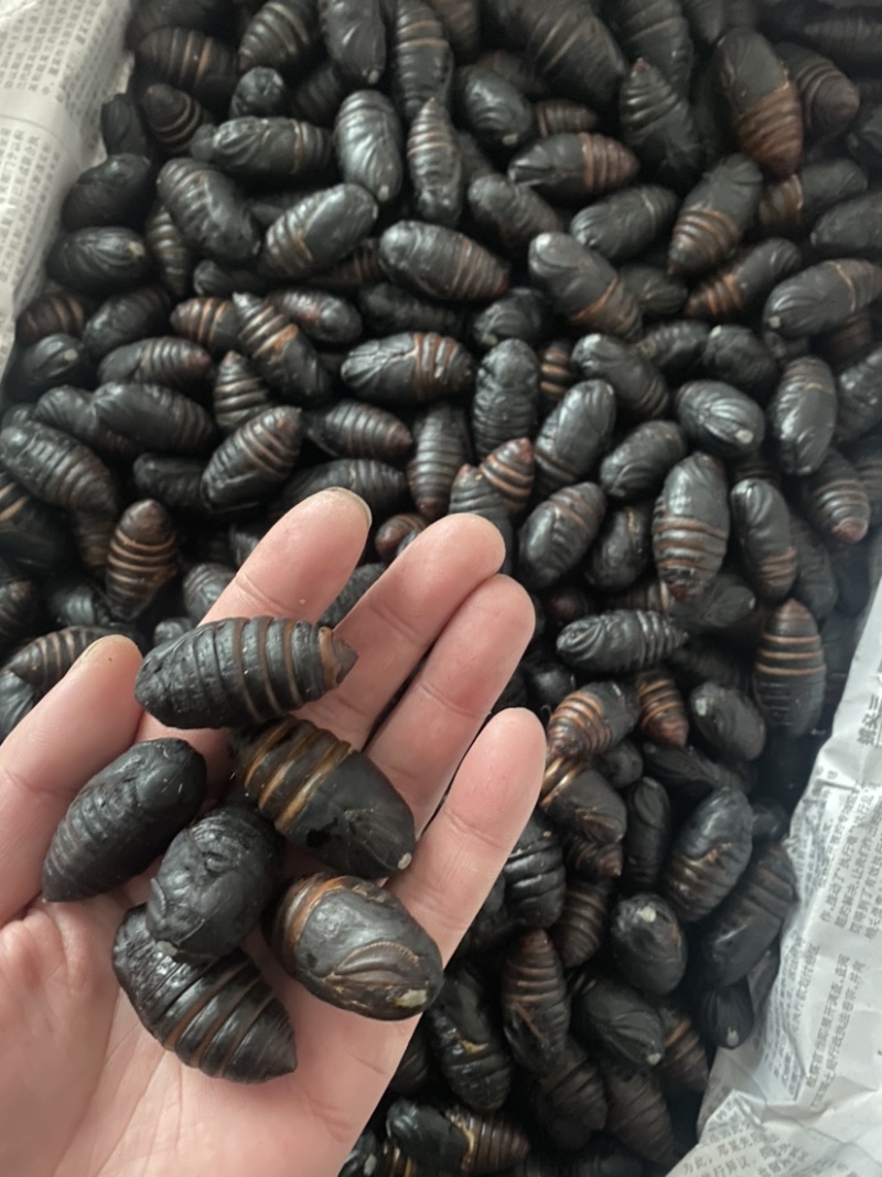 产地直销现割现卖