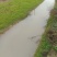 水田，出租。