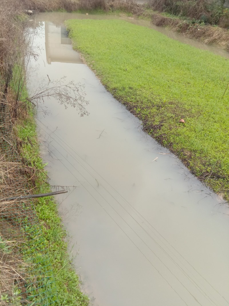水田，出租。