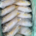 新鲜金鲳鱼，肉质肥美，清蒸，红烧，批发各种海鱼