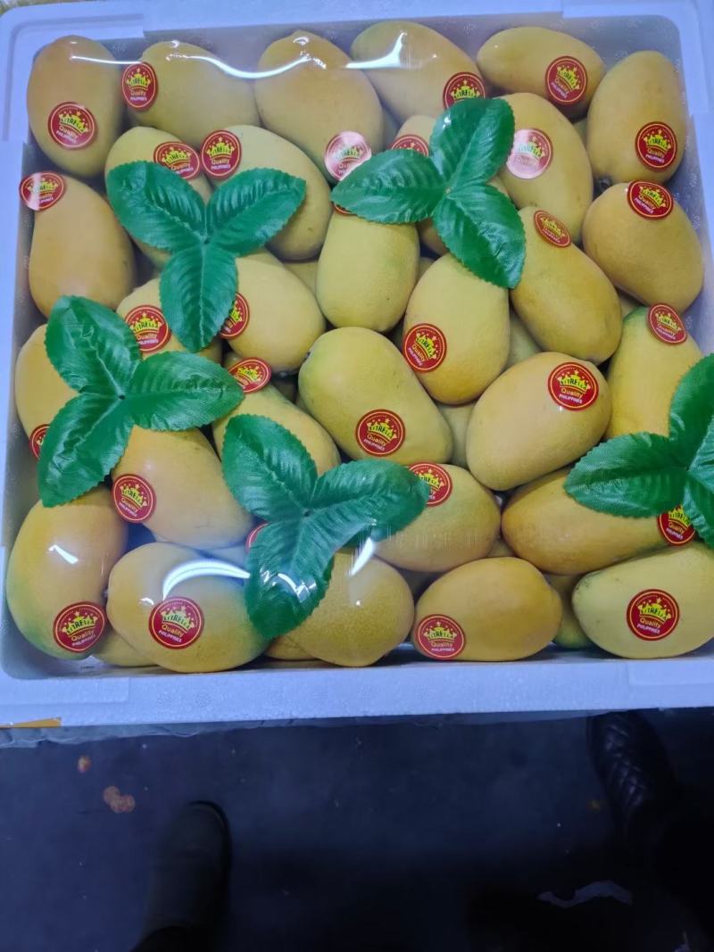 海南三亚精品台农芒台芽芒果，一级二级大量出货整车批货