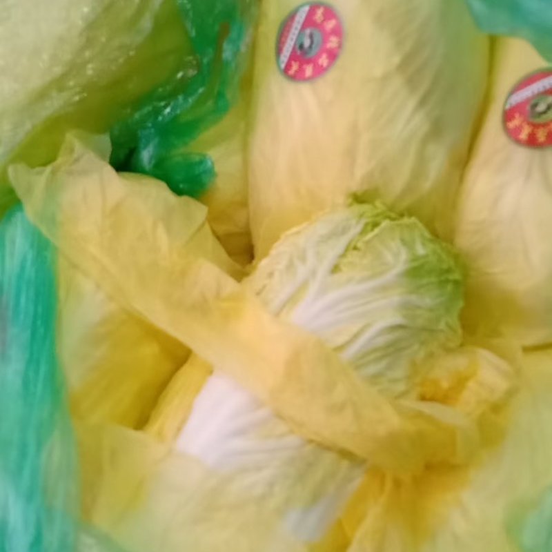 大娃娃菜