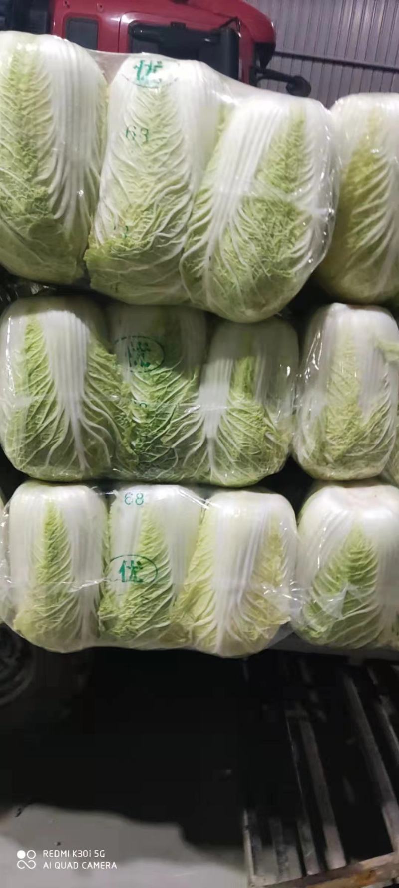 商丘市精品黄心菜，翠龙秋晓，青杂三号，87-114白菜
