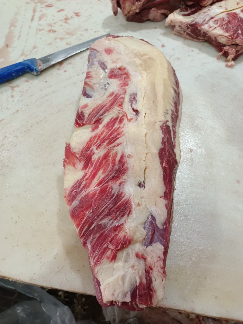 山东省阳信谷饲美式肥牛肉感鲜嫩，欢迎客商咨询联系