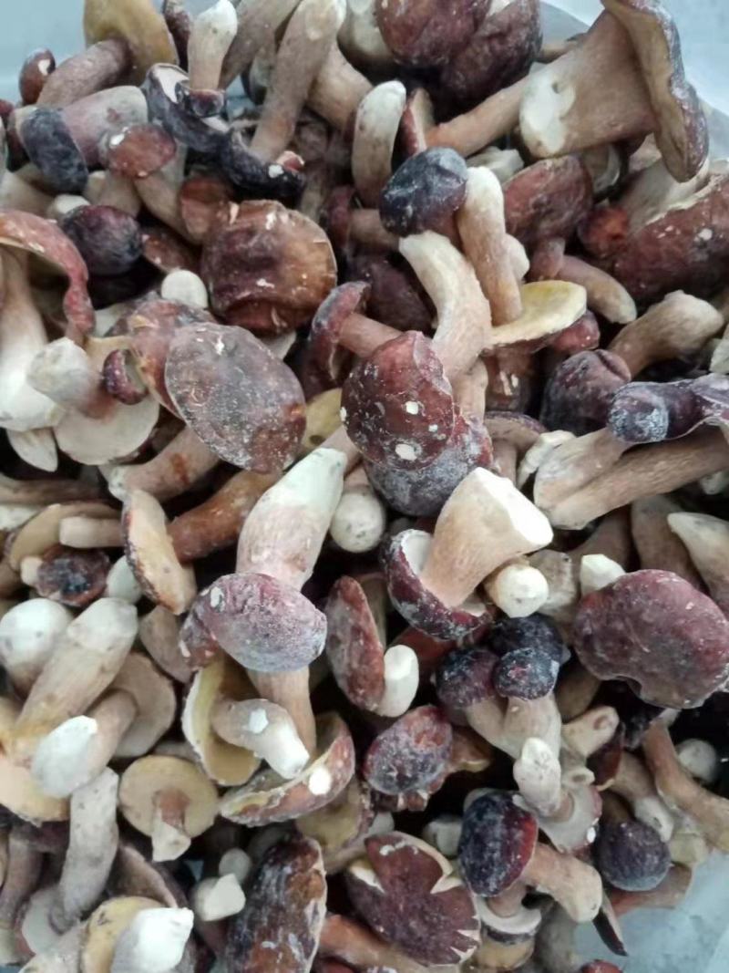 云南特产冰冻白牛肝菌美味牛肝菌大脚菇菌冻品产地直销