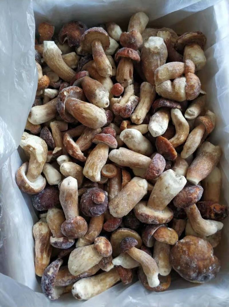 云南特产冰冻白牛肝菌美味牛肝菌大脚菇菌冻品产地直销