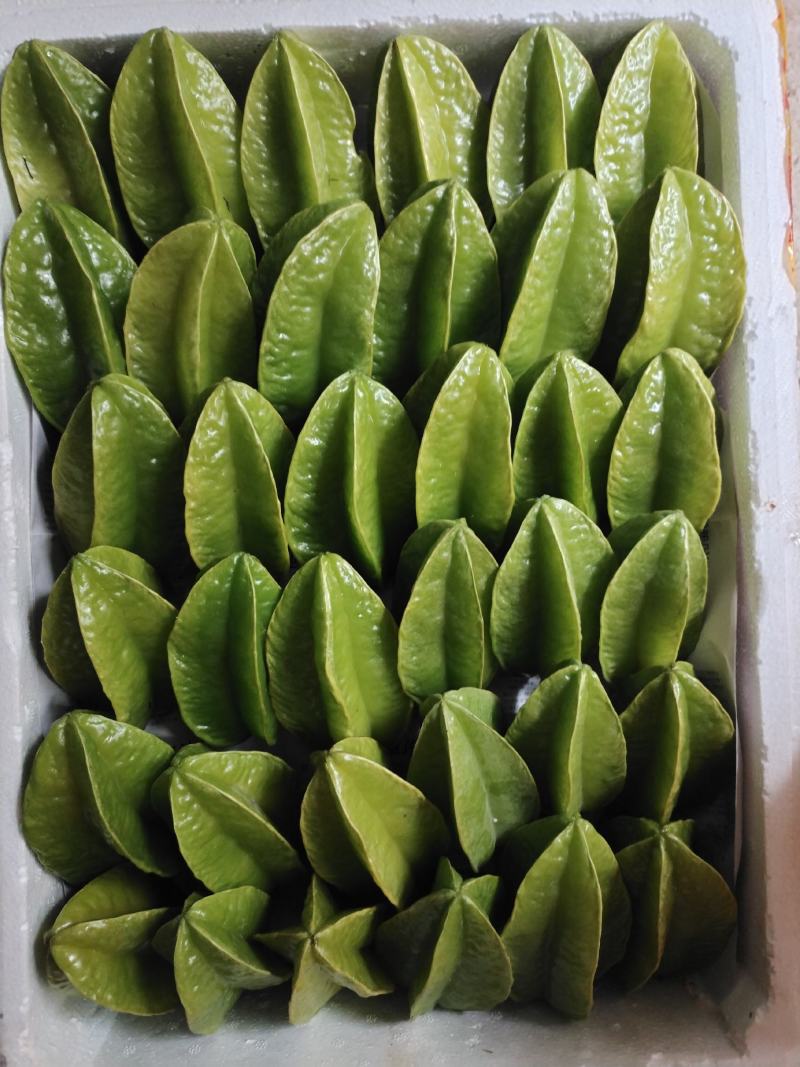 杨桃