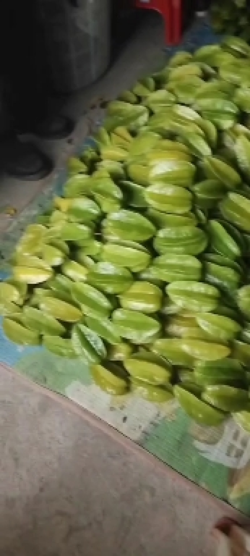 杨桃