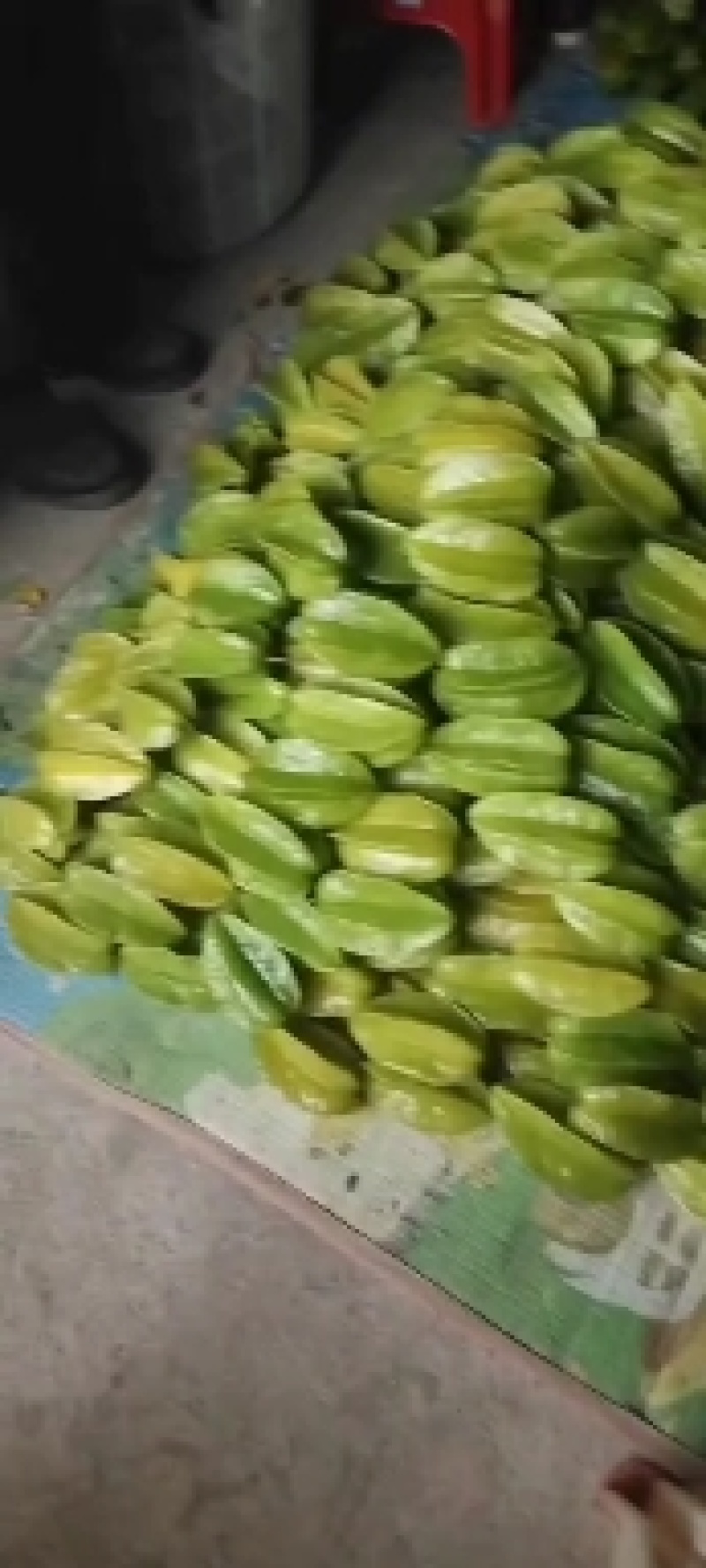 杨桃