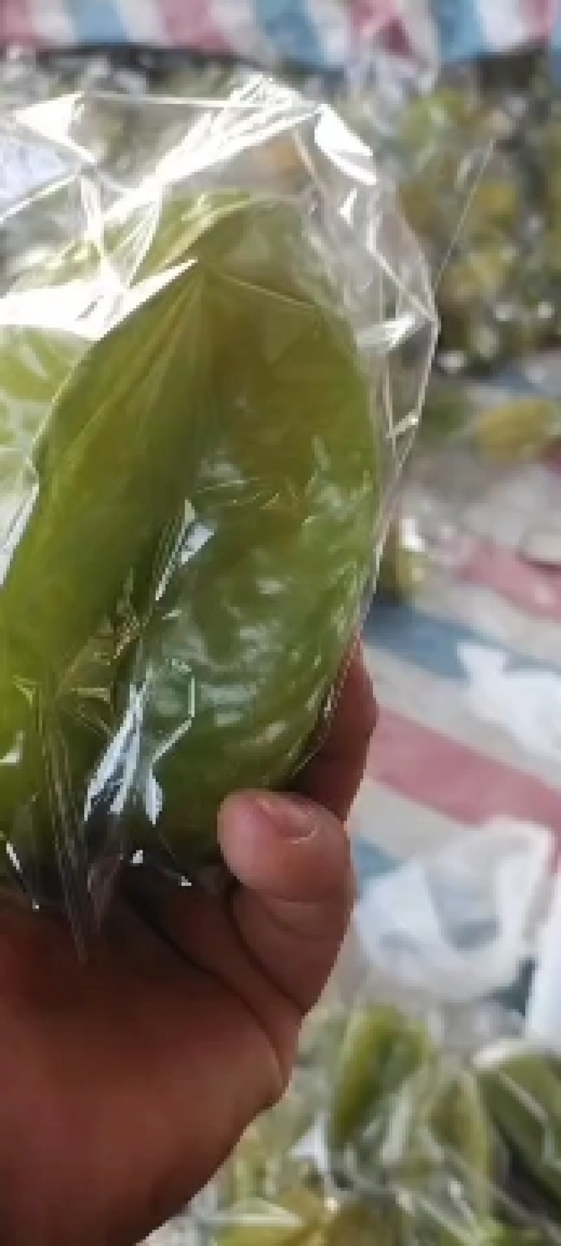 杨桃