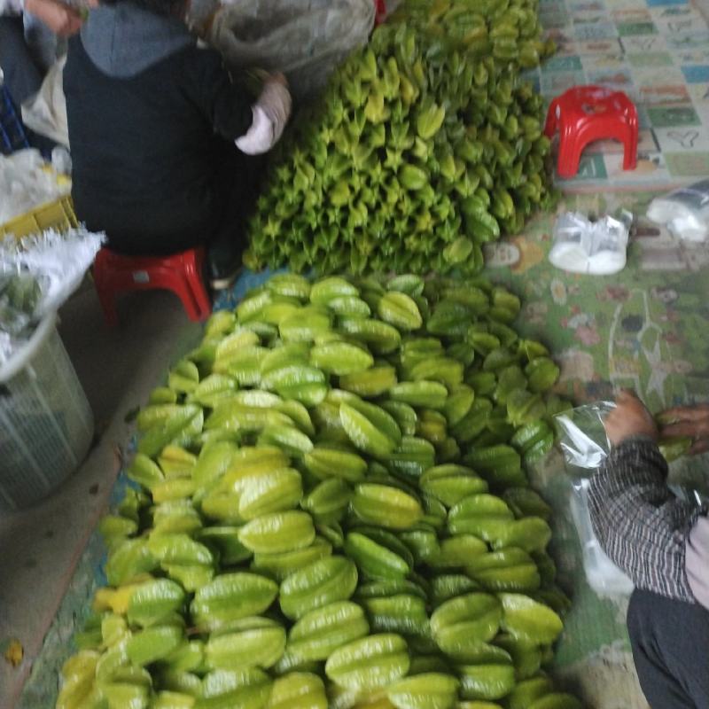 杨桃
