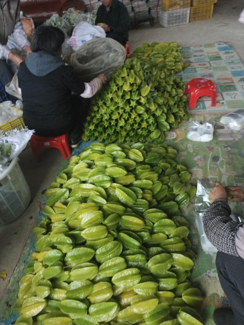 杨桃