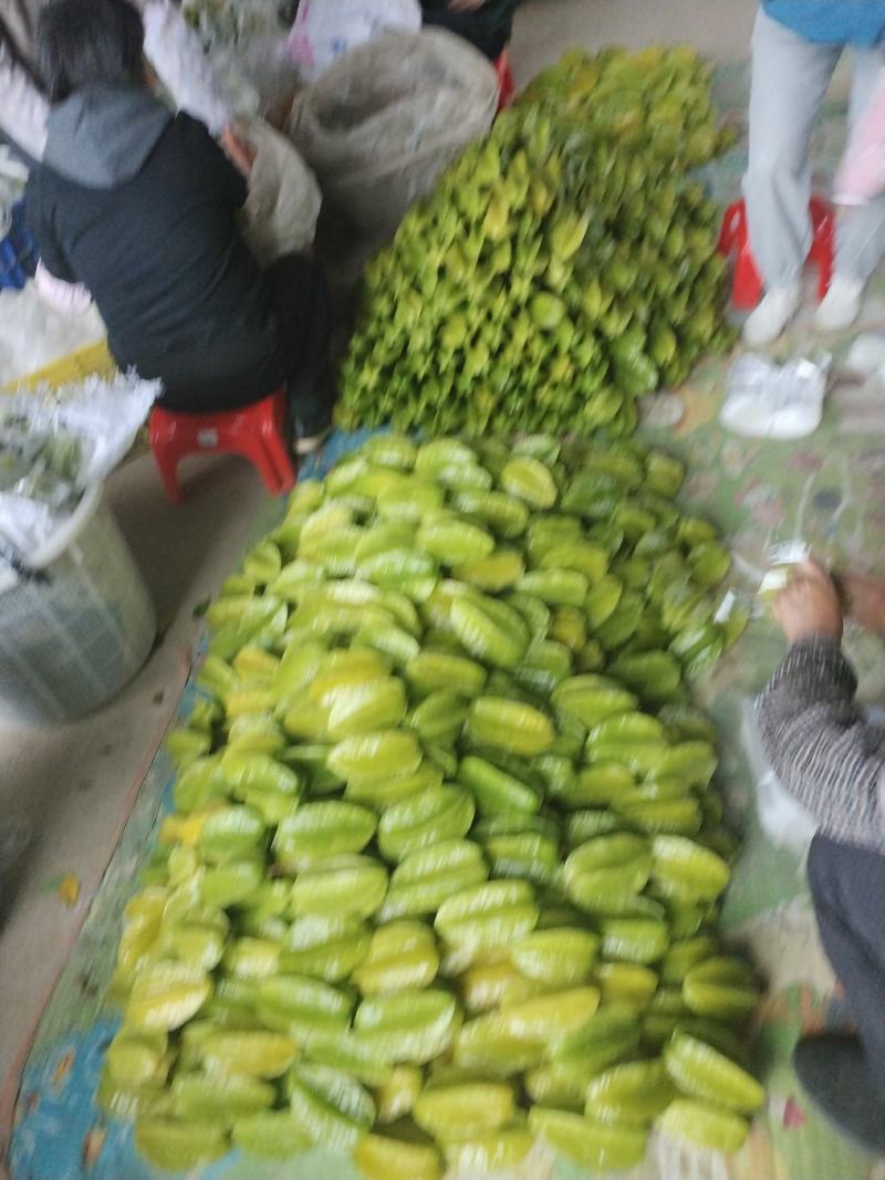 杨桃