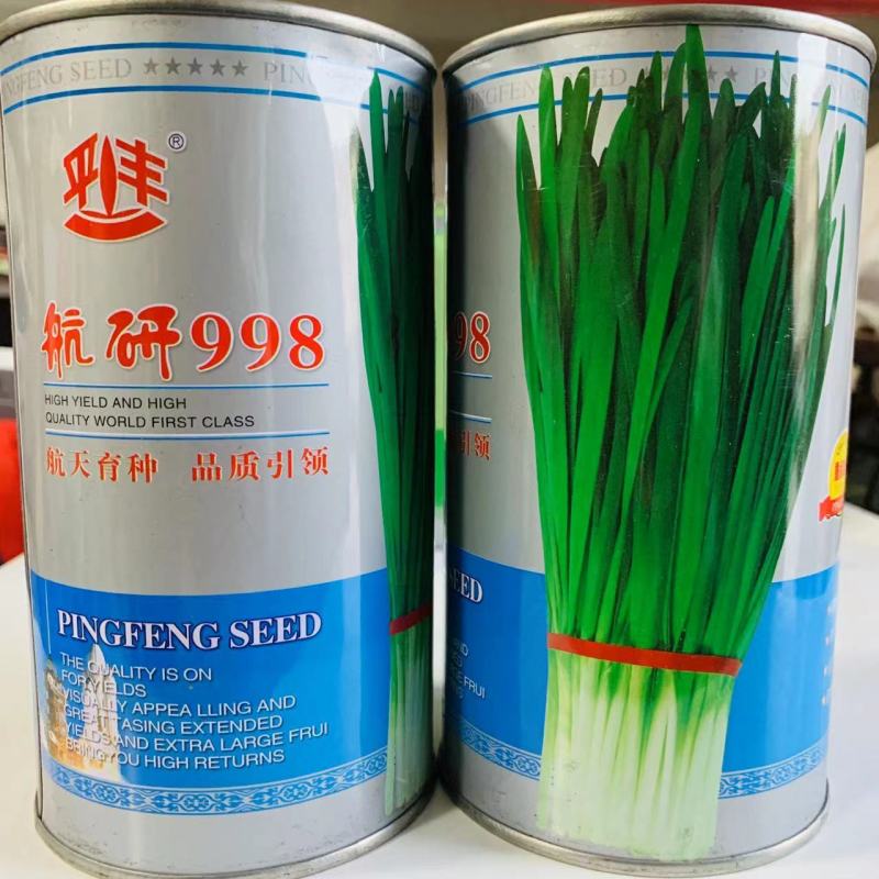 正品航研998韭菜种子耐冬耐冻不休眠韭菜籽种子一年四季