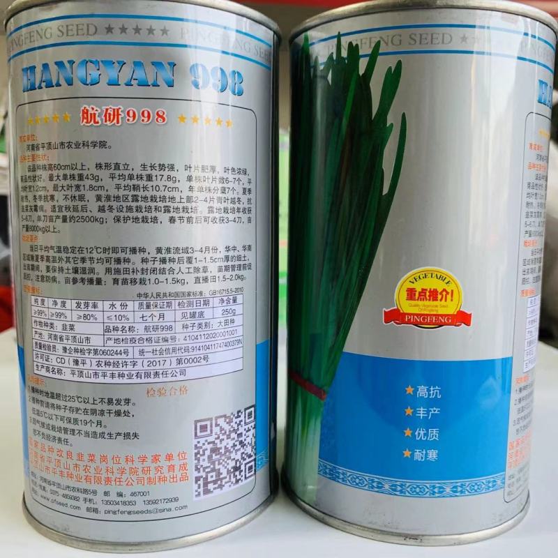 正品航研998韭菜种子耐冬耐冻不休眠韭菜籽种子一年四季