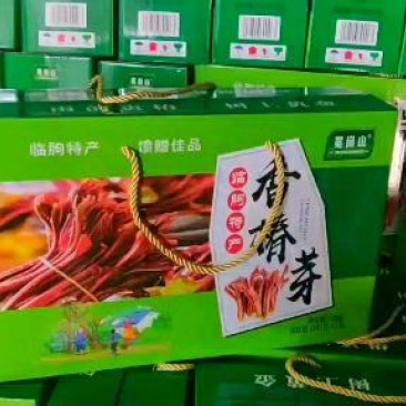 香椿芽礼盒，散装香椿芽欢迎电商平台团购咨询质量保证