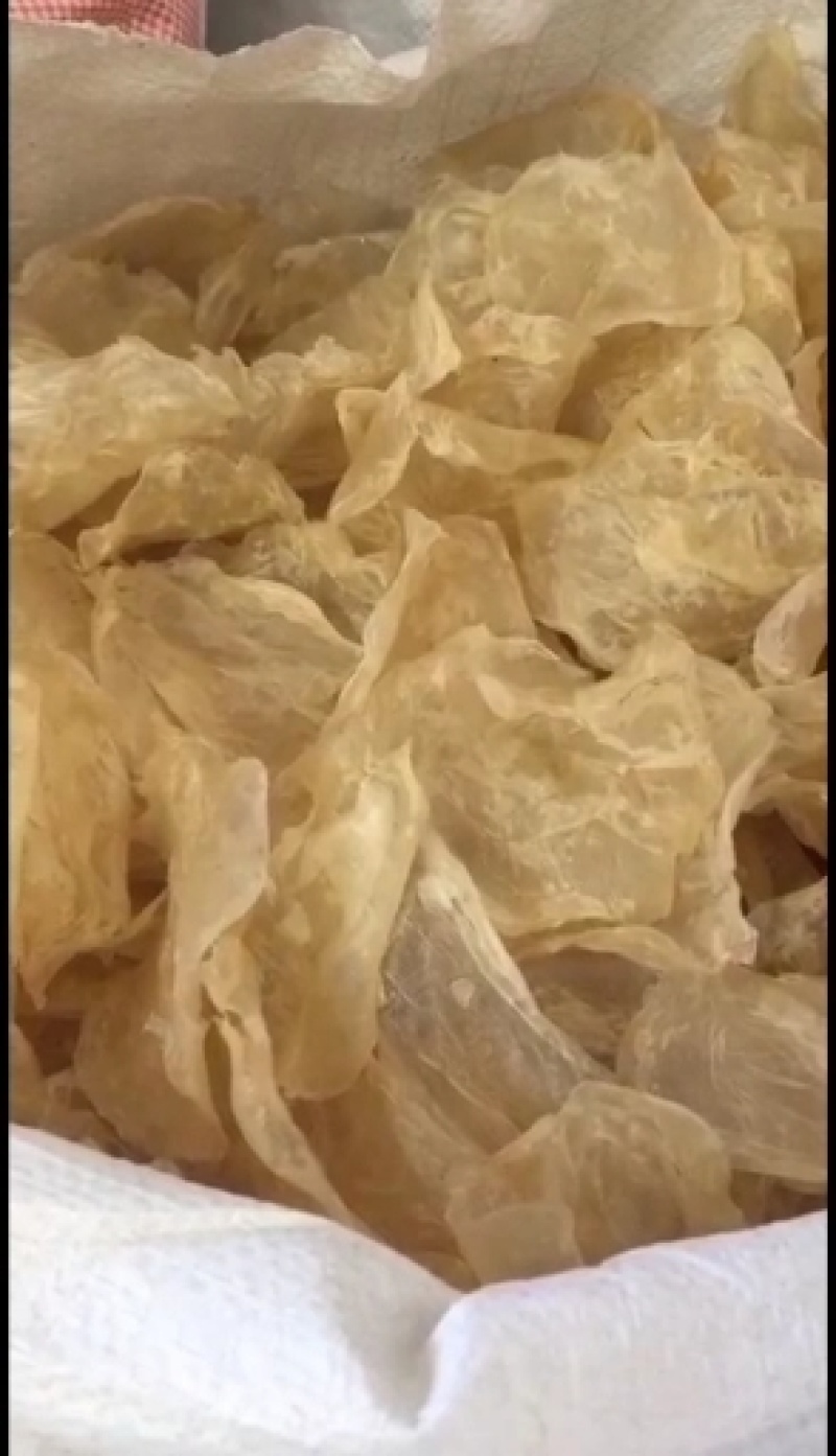 【精选鱼肚】花胶鱼胶小开片鱼肚长期有各种大量货源