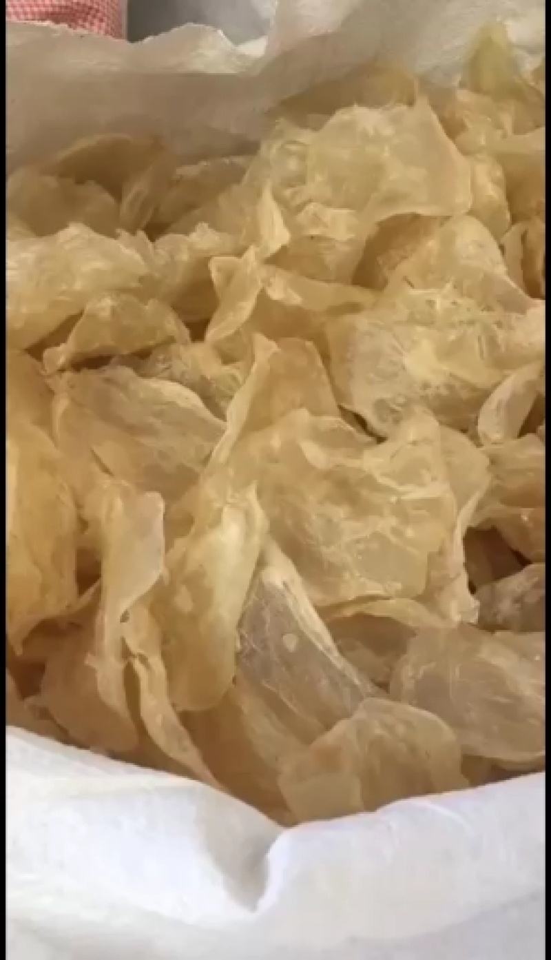 【精选鱼肚】花胶鱼胶小开片鱼肚长期有各种大量货源