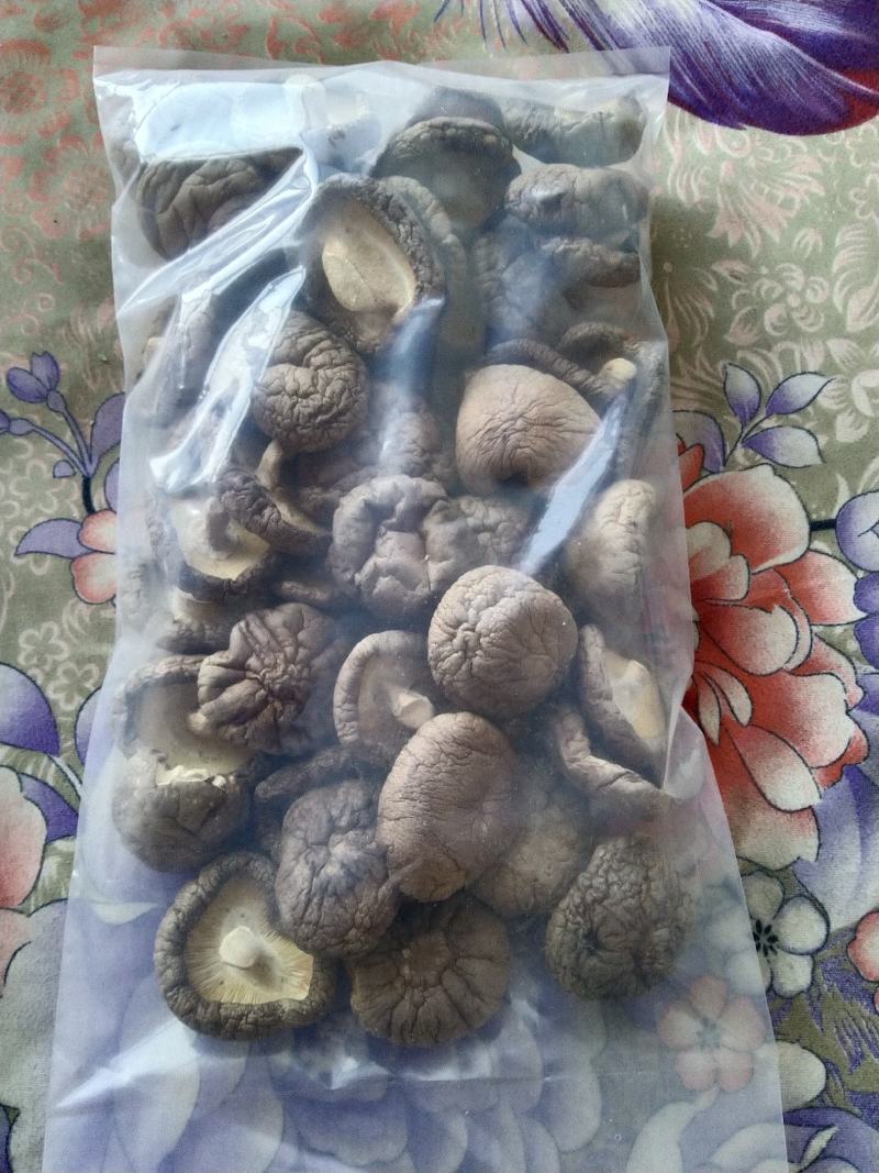 口蘑，又名坝上白蘑菇承德特产剪根产于平泉一年四季有货