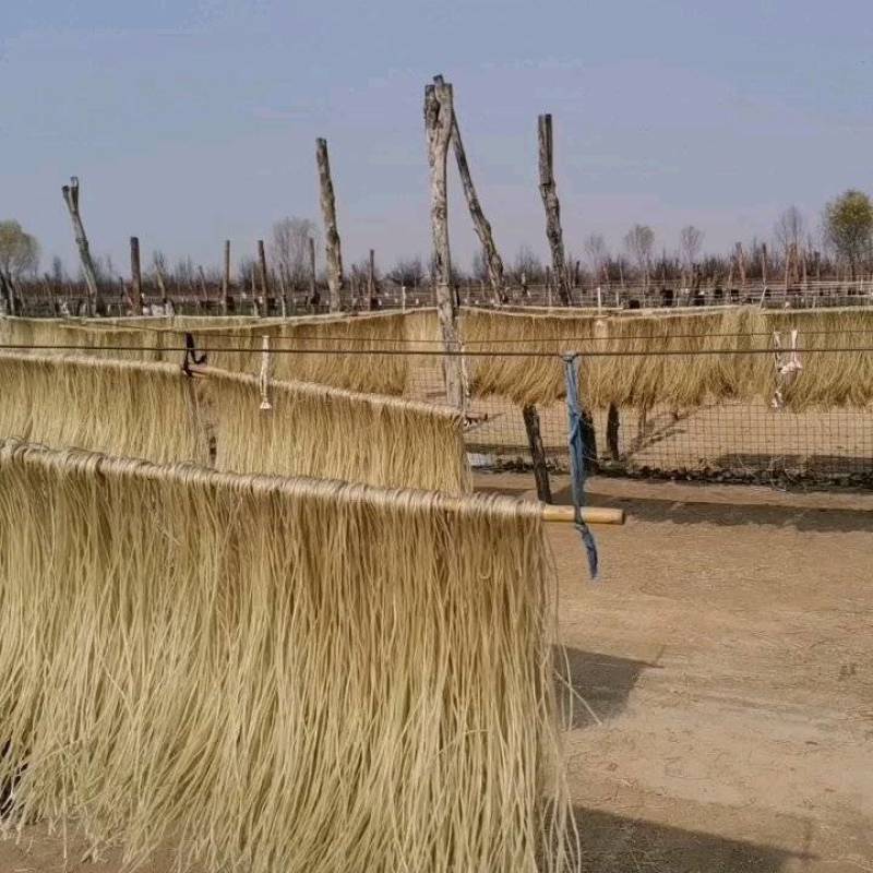 【热销】砀山县粉条-红薯粉条量大价优欢迎咨询下单