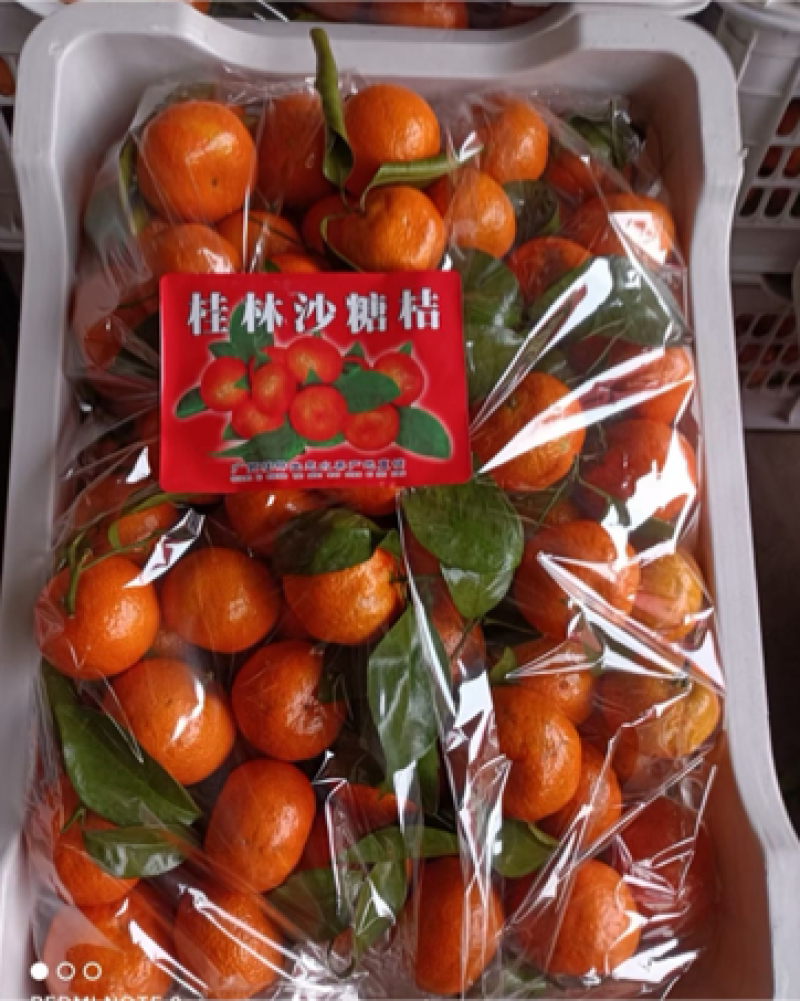 精品广西荔浦砂糖橘皮毛光亮口感包甜无渣无核保质量