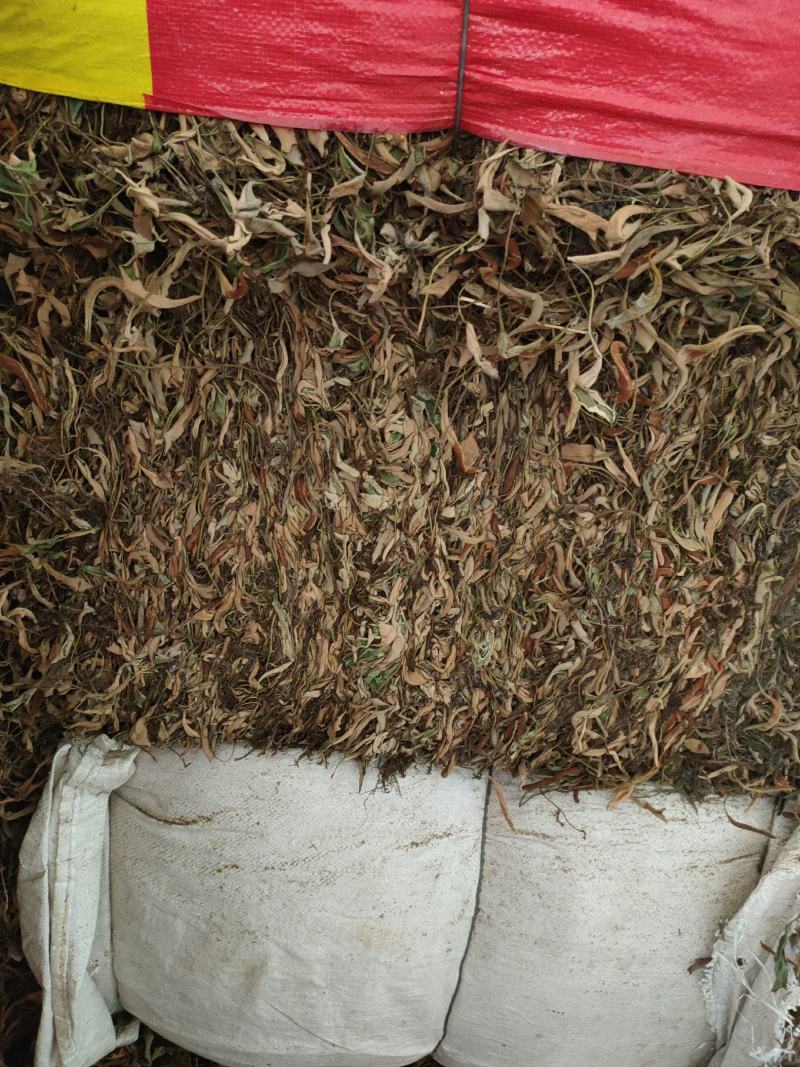 千里光有几吨干货低价出售。