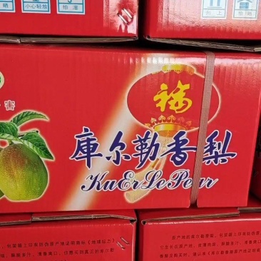 新梨7号河北梨基地直供口感细腻多汁欢迎联系