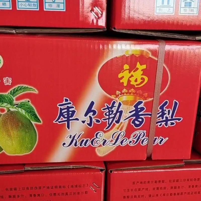新梨7号河北梨基地直供口感细腻多汁欢迎联系