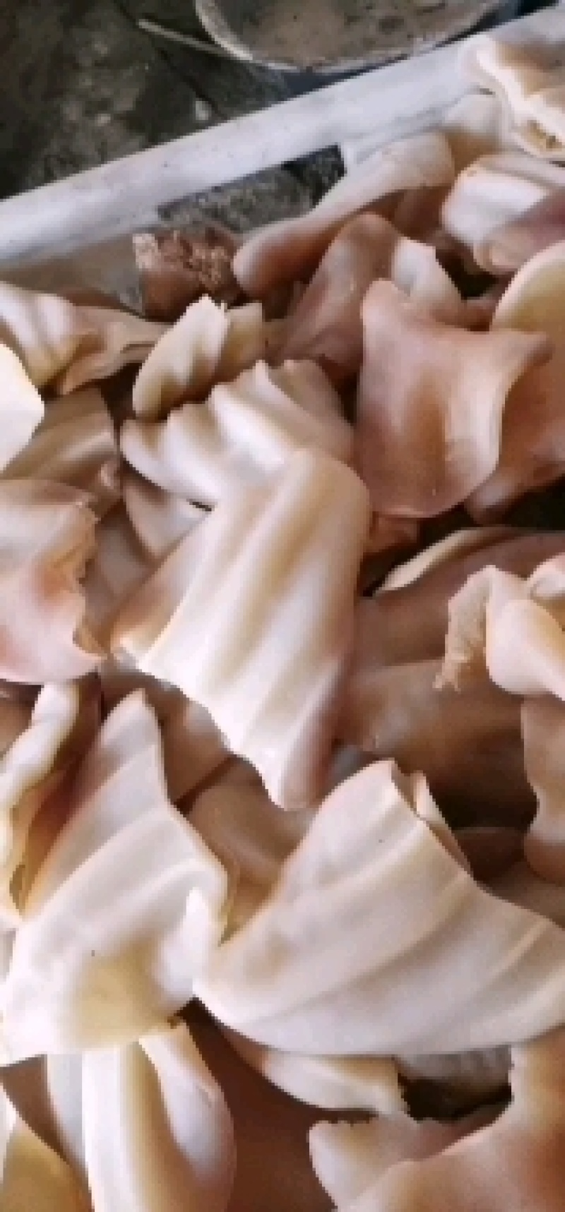 牛耳片，，出成率高，货新鲜，量大从优