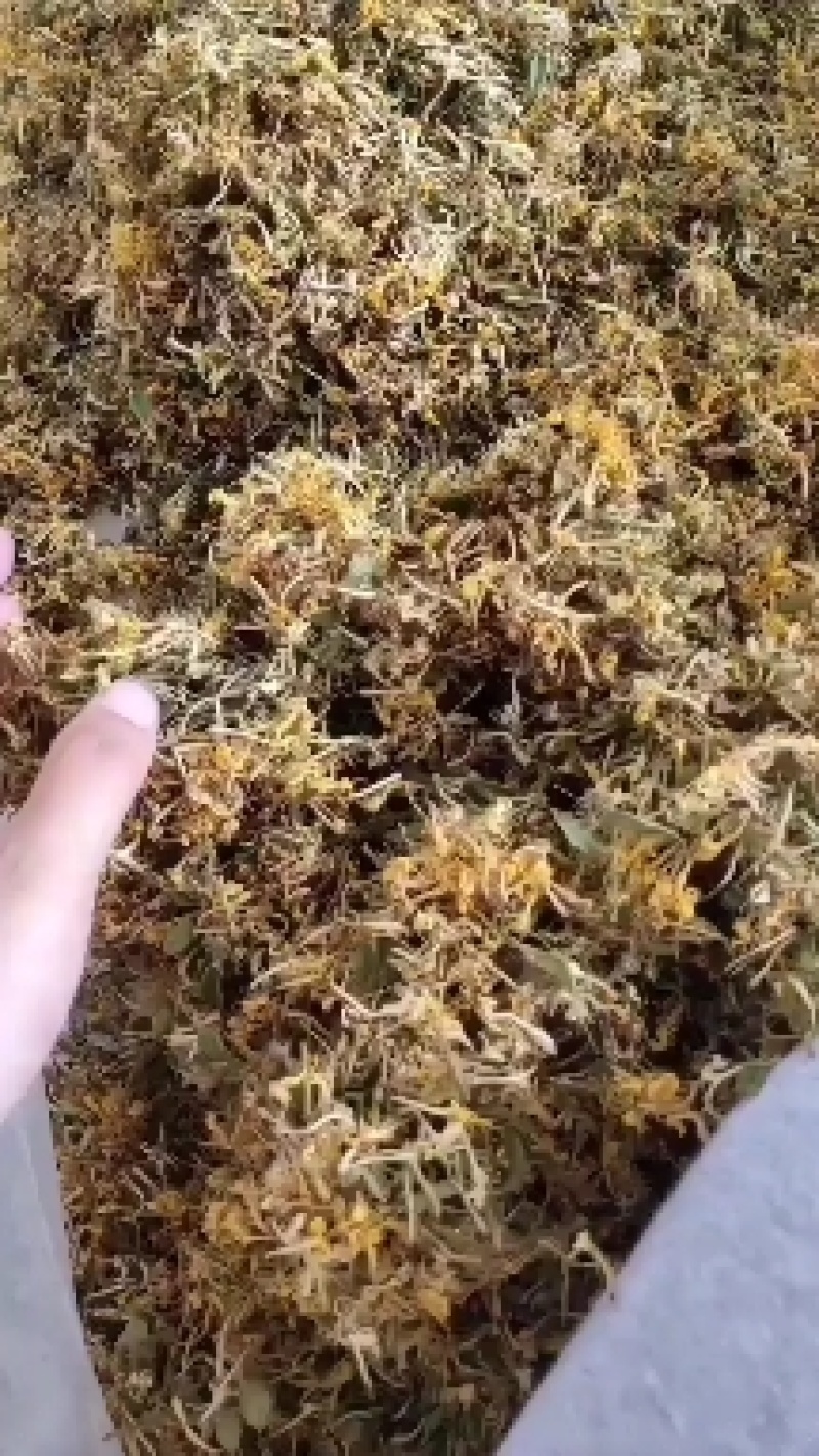 野生金银花，无硫自然生长纯手工制作