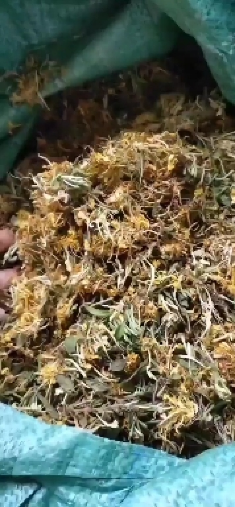 野生金银花，无硫自然生长纯手工制作