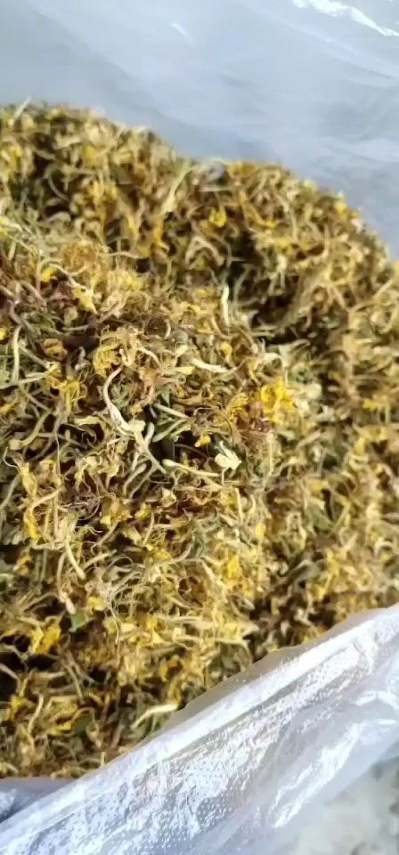 野生金银花，无硫自然生长纯手工制作