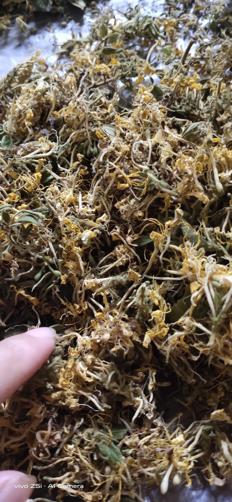 野生金银花，无硫自然生长纯手工制作