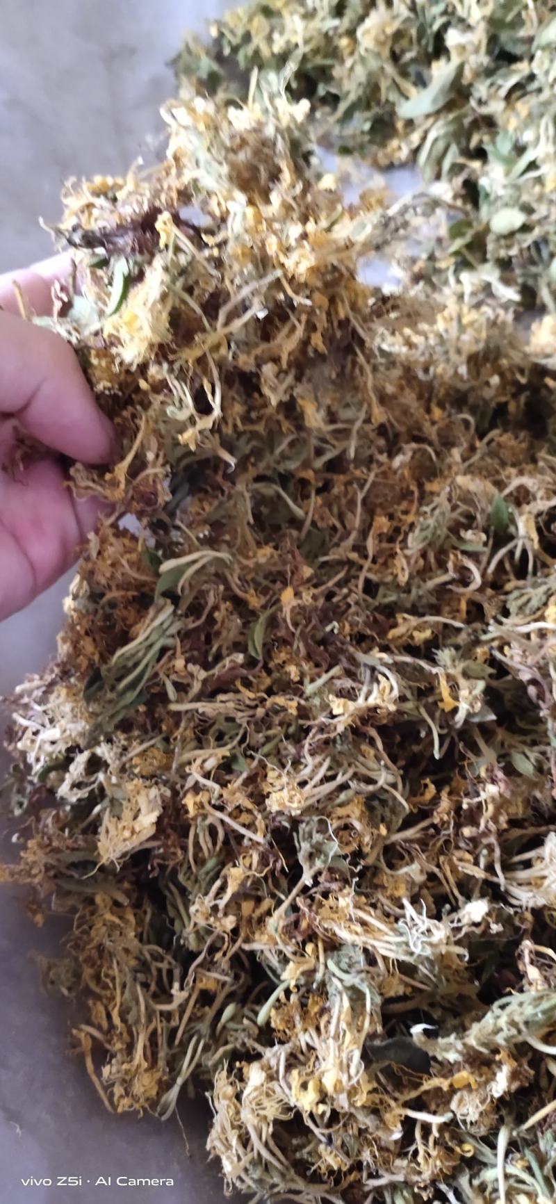 野生金银花，无硫自然生长纯手工制作