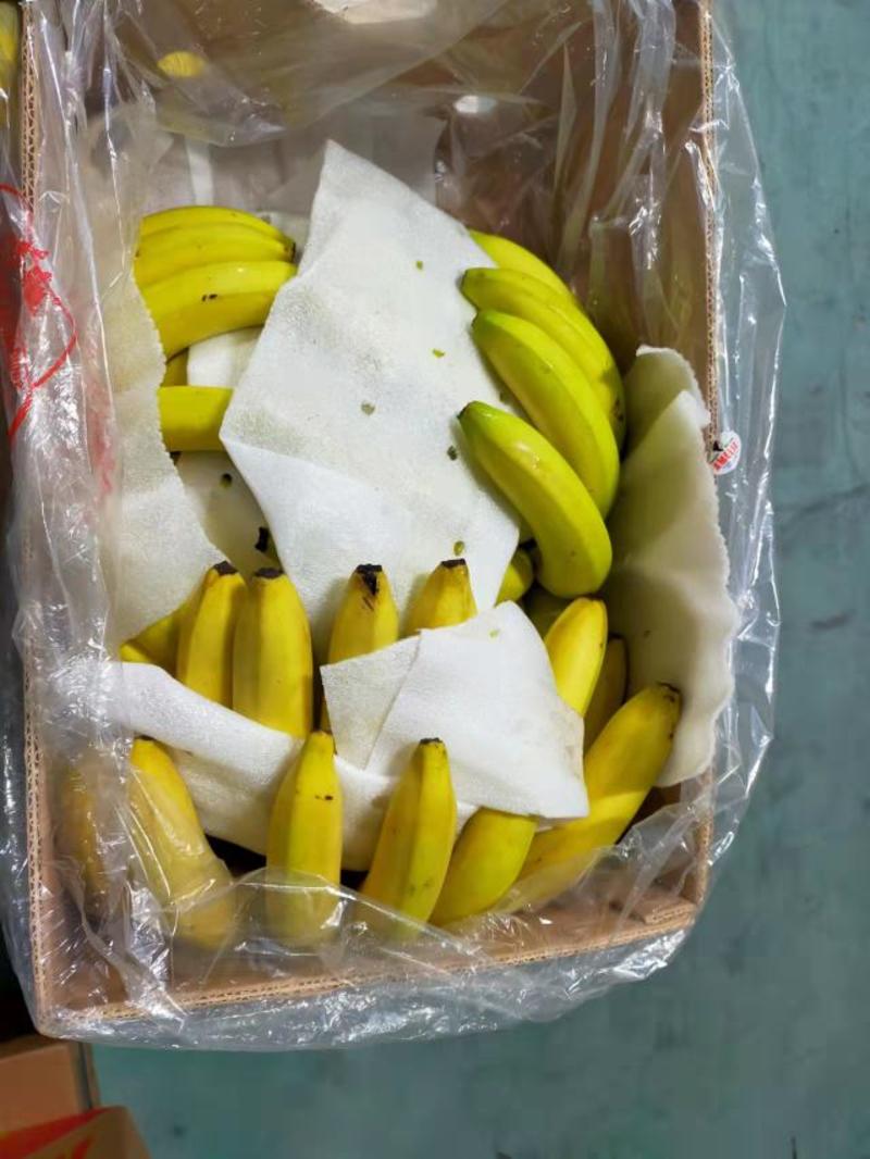 特价二黄香蕉，无花皮，无硬心，无黑心，香糯甜，价格实惠