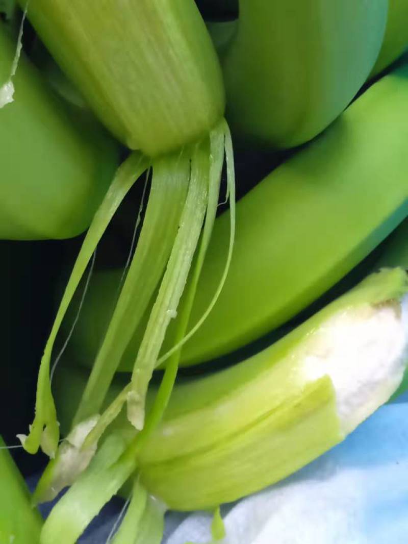 云南香蕉