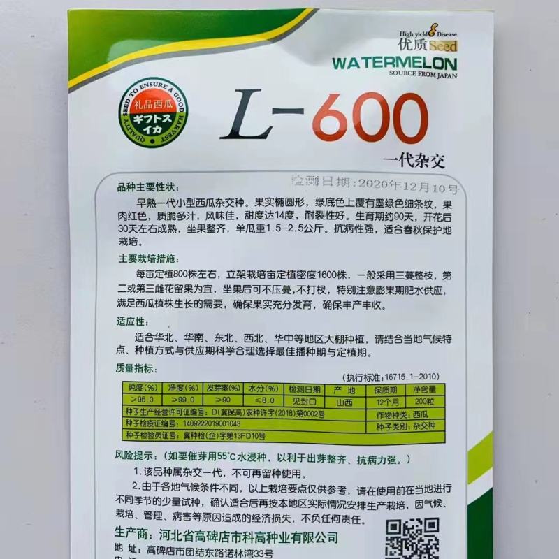 L600西瓜种子航兴天秀二号西瓜种子进口西瓜种子