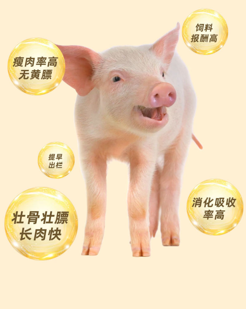 豆粕饲料小猪开口育肥猪颗粒饲料中大猪母猪育肥喂育肥全价